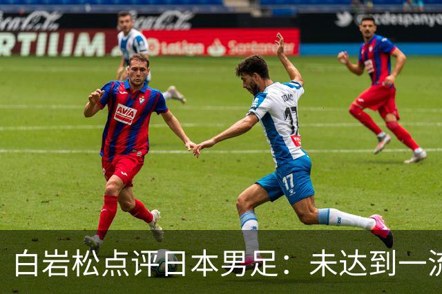 白岩松点评日本男足：未达到一流强队标准，仍需克服对荷兰的恐惧